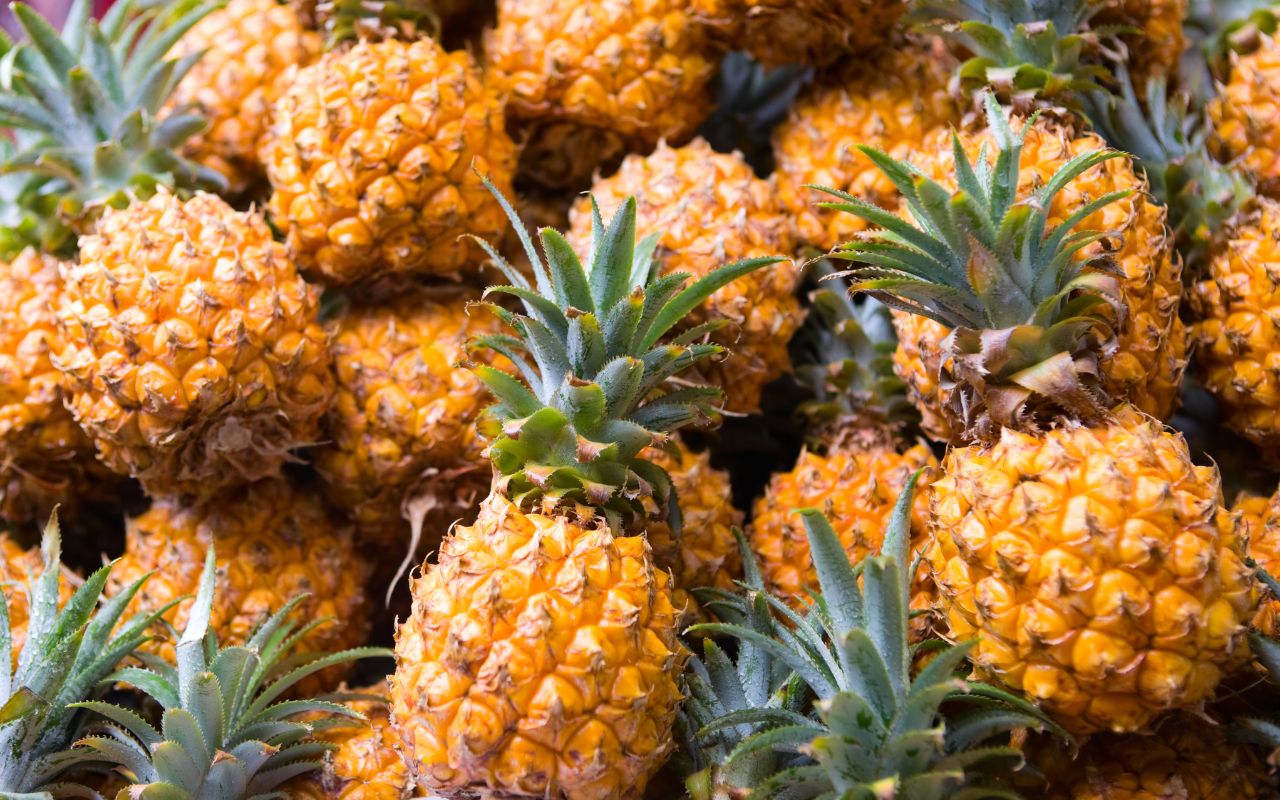 Le Cuir d’Ananas : La Nouvelle Alternative Durable et Végane