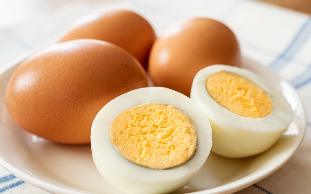 Durée de conservation des œufs durs en dehors du frigo