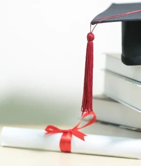 Bachelors Business