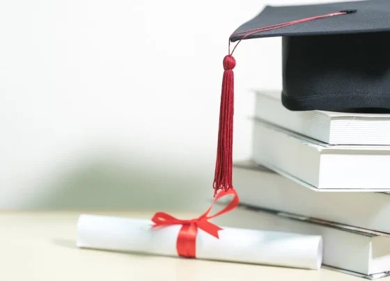 Bachelors Business