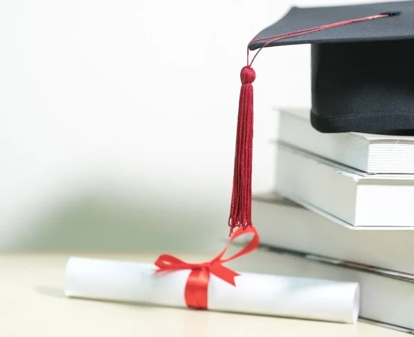Bachelors Business